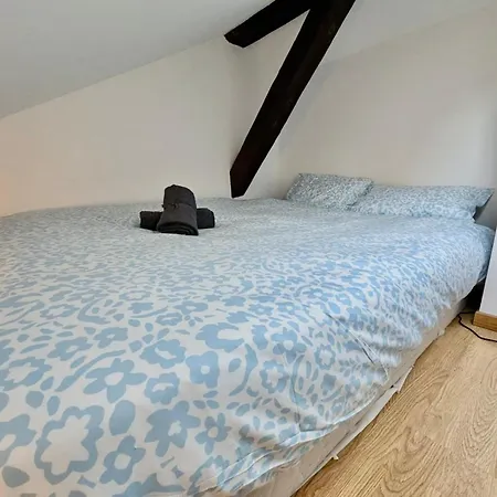 Apartment Moderne - Centre & Equipe - Proche De *